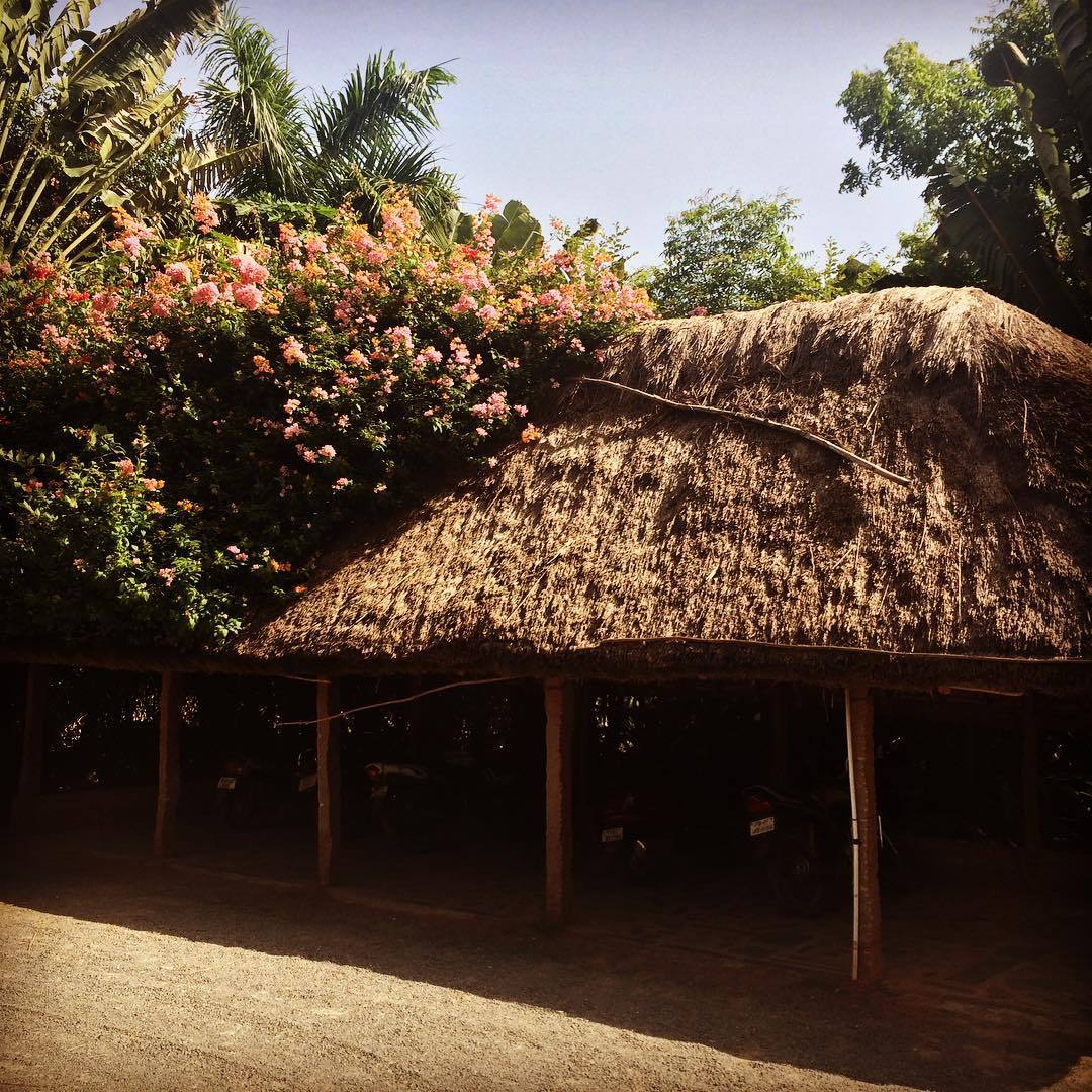 A scene from Auroville, India