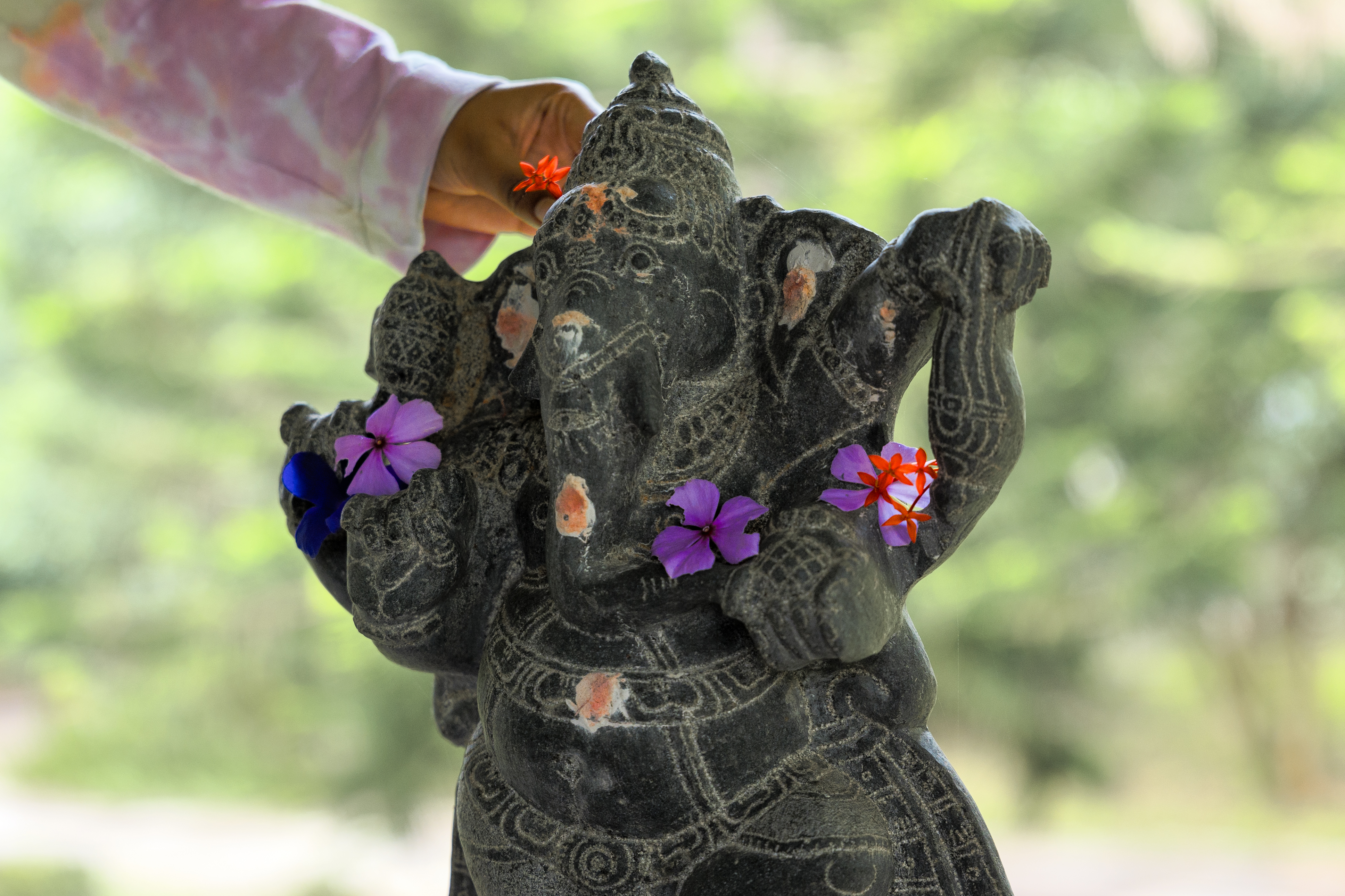 Some flowers for Shri Ganesha